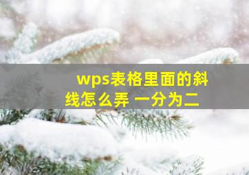 wps表格里面的斜线怎么弄 一分为二